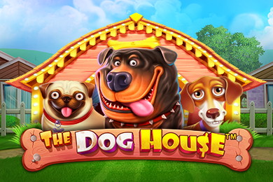 Играть в The Dog House Р7 Казино